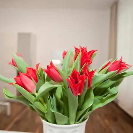 Rafaella Apartment